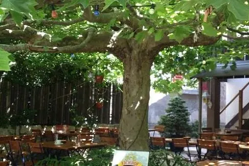 Restaurant Rebstock